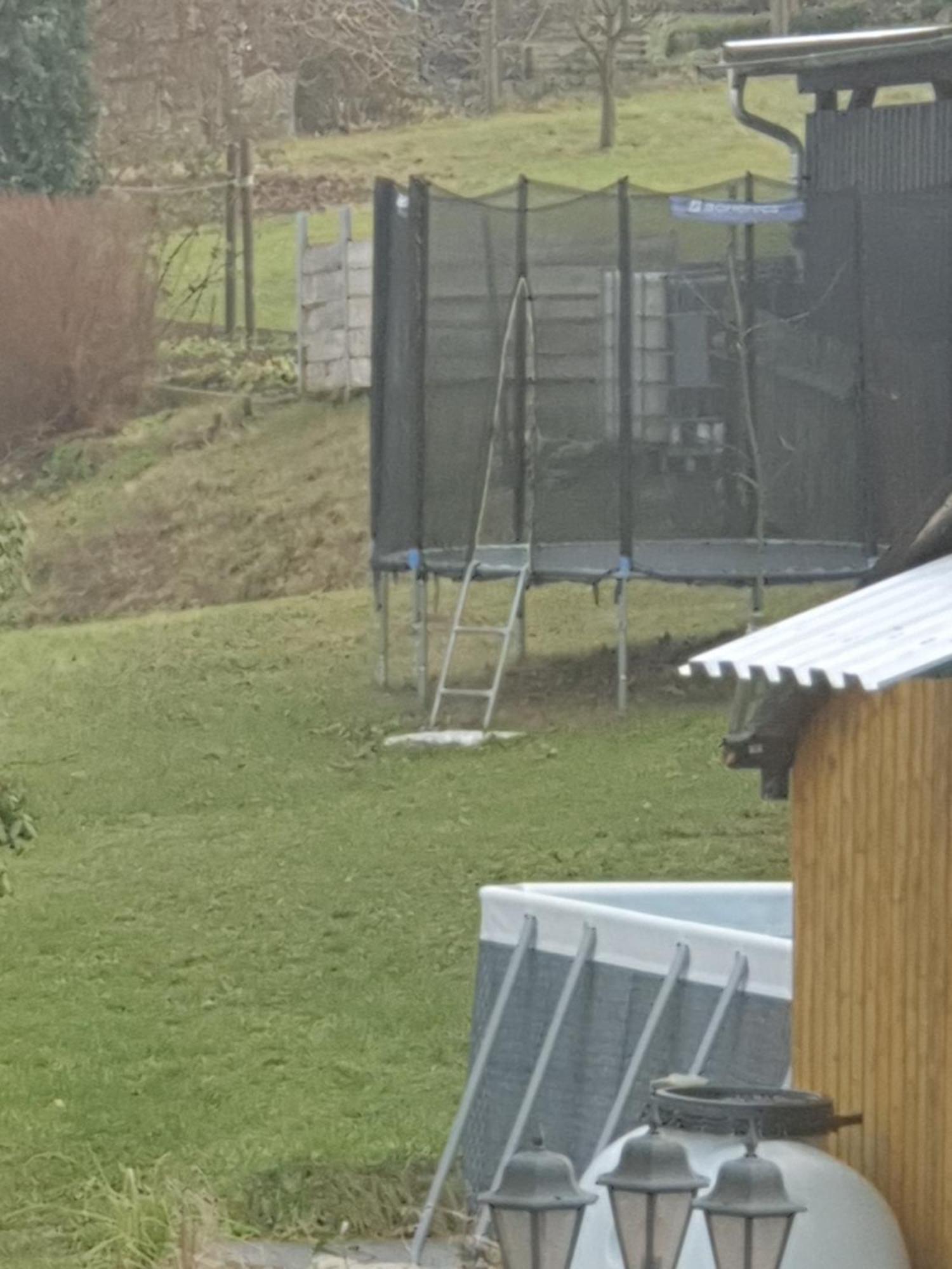 Familienfreundliche Ferienwohnung Erzgebirge Schneeberg  Eksteriør billede